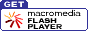 Macromedia Flash Plugin Download